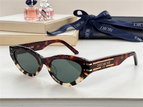 dior sunglass-114